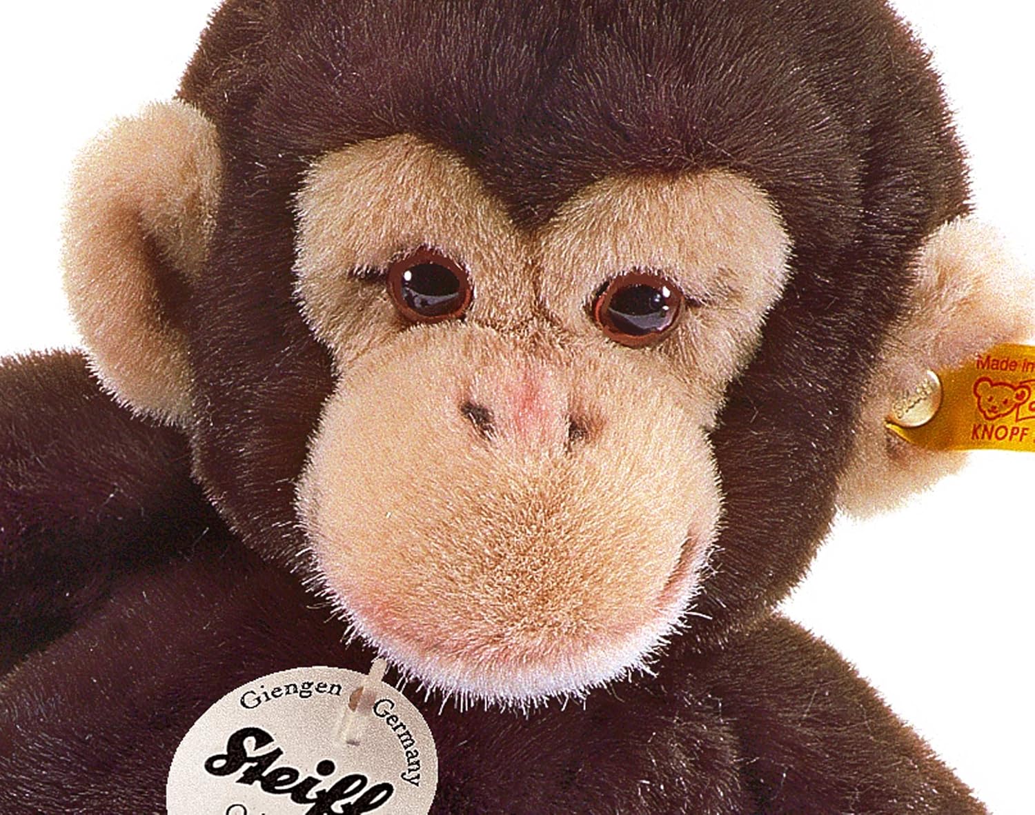 Steiff Little Friend Koko Monkey Dark Brown 25cm - Image 2